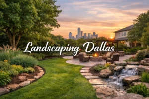 Can Landscaping Dallas Improve Energy Efficiency?