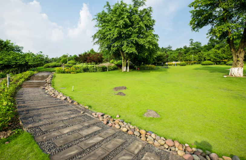 A gardener uses a mechanical trimmer to shape a dense green hedge, demonstrating the precise care involved in landscaping services.