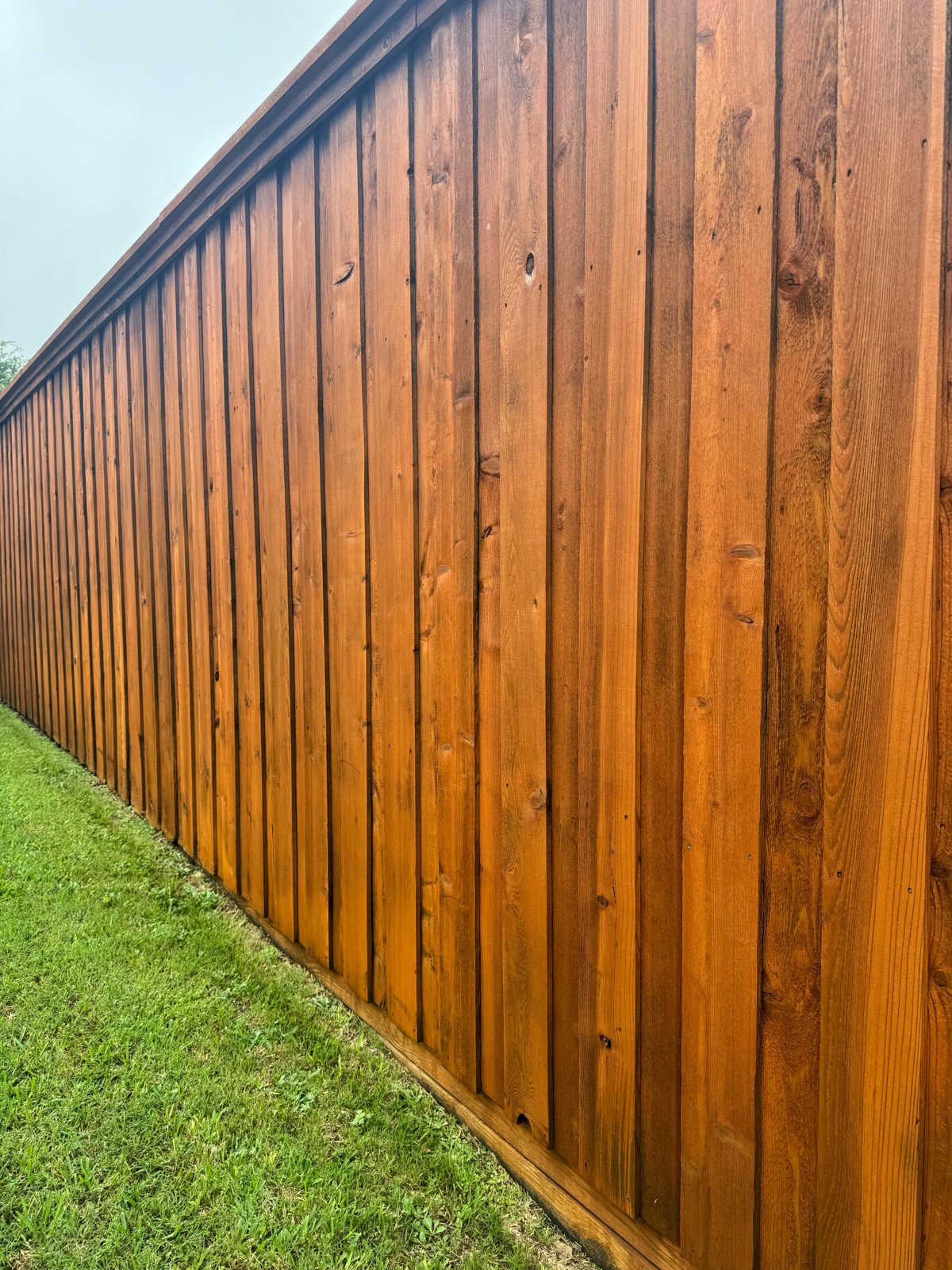 Stained cedar board-on-board privacy fence